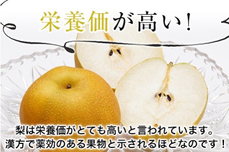 【先行予約】熊本県氷川町産 吉野梨秋麗 約5kg(14～16玉前後) 《8月中旬-9月上旬頃出荷》 JAやつしろ梨部会