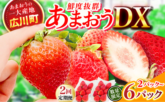 
            【★先行予約★　2026年2月発送開始】【選べるケース数】【2回定期便】博多あまおう 1～3ケース いちご 苺 フルーツ 果物 くだもの イチゴ ふるーつ 旬 福岡県産 小分け 広川町 / JAふくおか八女農産物直売所どろや [AFAB018]
          