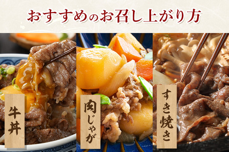 松阪牛 小間切れ 約800g ／ 冷凍 多気郡農協 和牛 黒毛 特産品 松阪肉 牛肉 お肉 肉 牛 こま切れ ブランド牛 ご自宅用 家庭用 ギフト 贈答用 産地直送 松阪 牛 三重県 大台町 (340