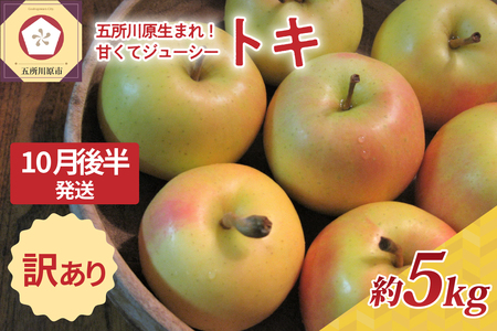 【2025年10月後半発送】りんご【訳あり】約5kg トキ | 黄色いりんご 青森県産りんご 家庭用りんご