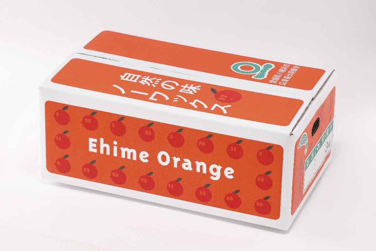 
                  ＼みかんの大トロ/糖度12.0以上酸1.4以下 糖酸選別品 訳あり 愛媛セトカ3kg＜C20-14＞_訳アリ わけあり ワケアリミカン みかん せとか フルーツ 果物 果実 くだもの 家庭用 人気 甘い ジューシー 柑橘 かんきつ 不揃い 規格外 傷 愛媛 八幡浜市 旬 産地直送 産直 季節限定【1094586】 YWTI012
                