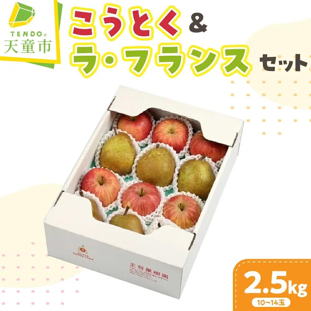 りんご こうとく ＆ ラフランス セット 2.5kg 山形 リンゴ