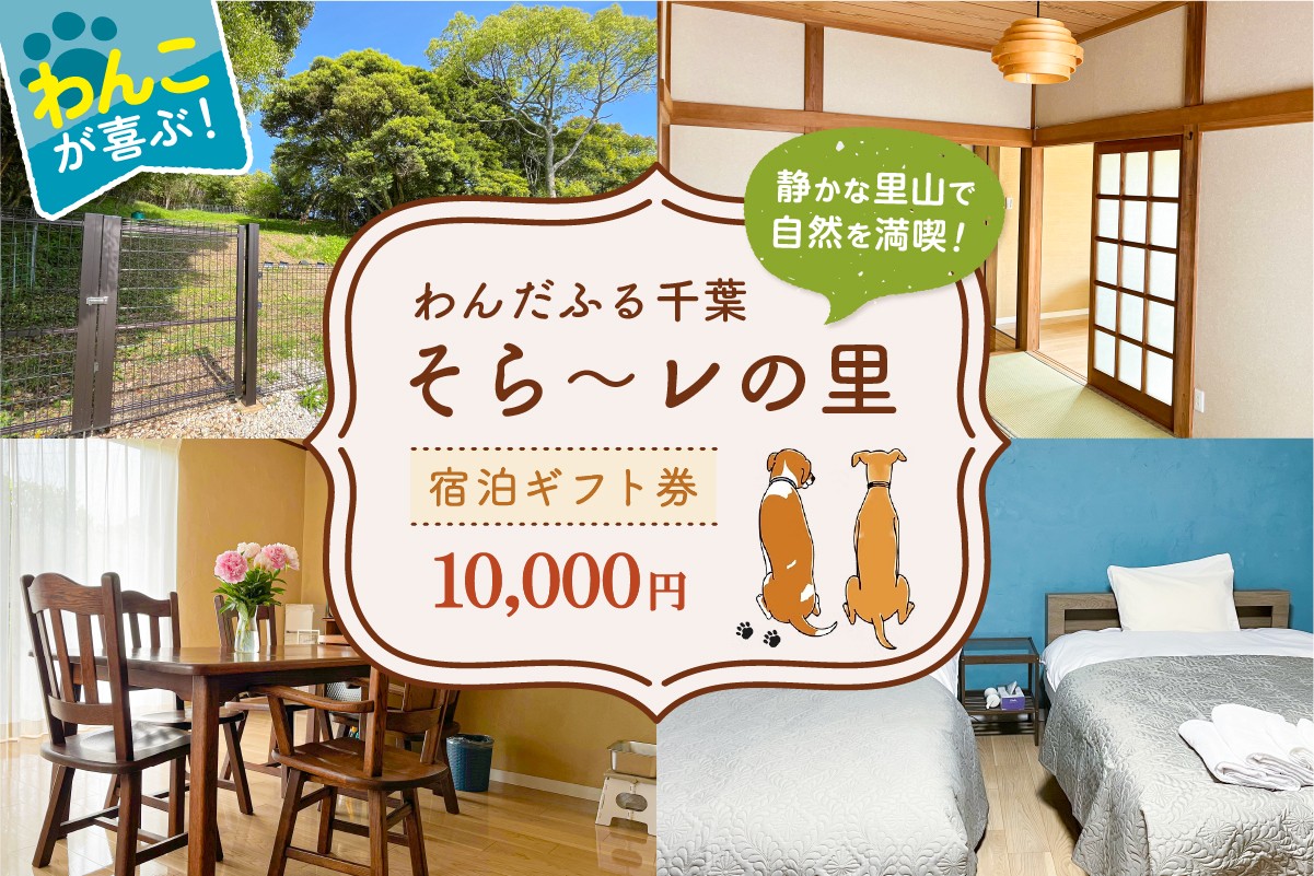 
            わんだふる千葉　そら～レの里　宿泊ギフト券 10,000円 mi0123-0002-1【 犬と宿泊 愛犬 わんこ 愛犬旅行 ペット専用 ペット ドックラン 旅行 チケット 宿泊 宿泊券 旅行券 ホテル 千葉 南房総市 】
          