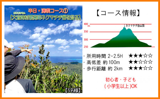 
沖縄県北部やんばる・大宜味村最高峰ネクマチヂ岳を登る【3名様】
