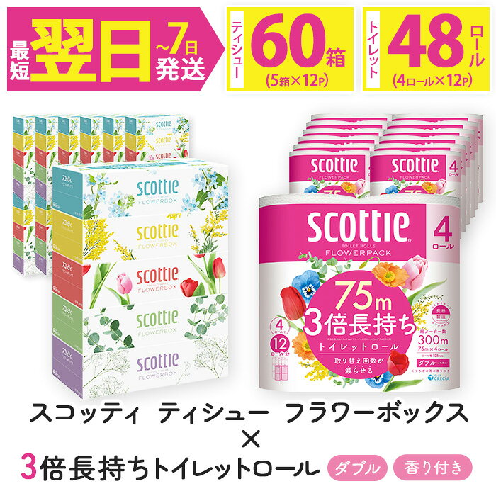 【ふるさと納税】＜ボックスティッシュ＆トイレットロールセット＞スコッティ ティシュー フラワーボックス 250組 60箱＆スコッティ フラワーパック 3倍長持ち ダブル 48ロール (ティッシュ5箱×12・トイレットロール4ロール×12)【fc-AS004-A】【日本製紙クレシア株式会社】