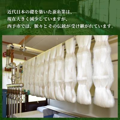 ふるさと納税 西予市 <材料、繰糸、機織りすべて西予市でつくった シルク反物> 西予市産 愛媛県産 国産 座繰り 手織り |  | 02