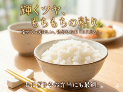 【期間限定寄附額】最高評価「特A」令和7年産 岡山県産米「 にこまる」 10kg　＜8月発送＞