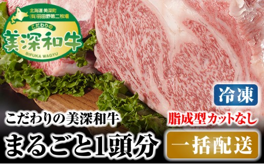 
[№5894-0251]北海道 こだわりの美深和牛1頭分 成型脂カットなし（冷凍）

