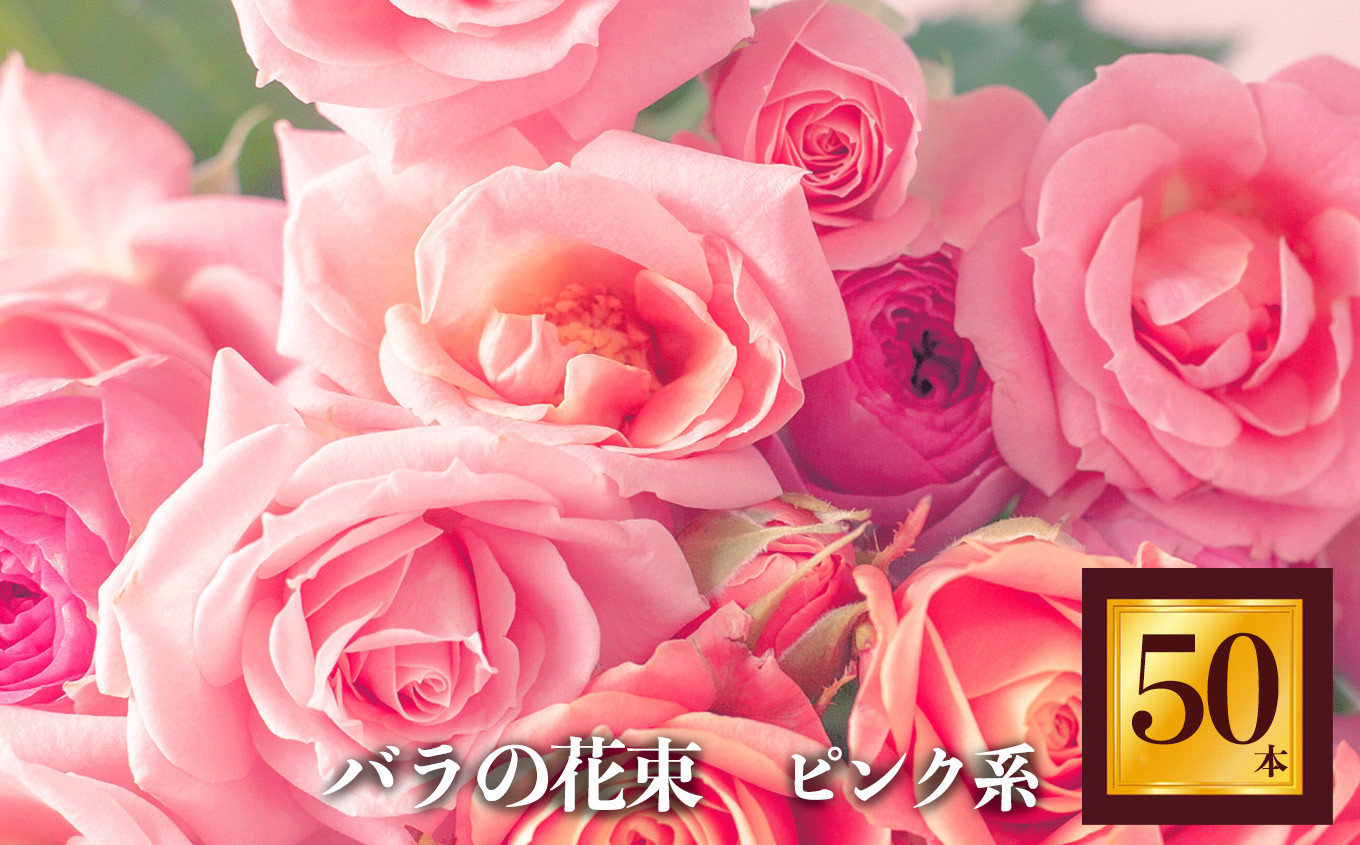 
バラの花束 50本（ピンク系濃淡） | ローズ フラワー 薔薇 ばら バラ 平群のバラ 花束 平群ブランド 誕生日 記念日 お祝い ピンク 奈良県 平群町
