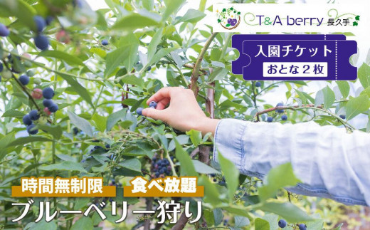 
【時間無制限・食べ放題】ブルーベリー狩り入園チケットおとな２枚
