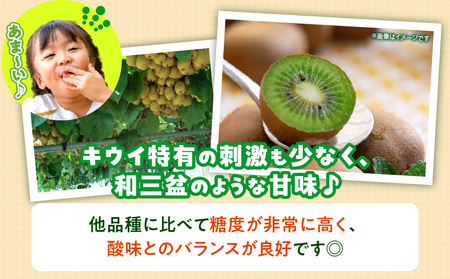 【先行予約】 さぬきキウイっこ5.0kg【香川県共通返礼品】|キウイ 果物 フルーツ デザート 旬 旬の果物 季節 季節の果物 人気 おすすめ 贈り物 贈答 プレゼント ご褒美 キウイフルーツ さぬき