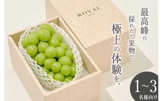 ＜2026年発送先行予約＞南アルプス市産 大粒シャインマスカット 1房入り 約700g ALPAL006