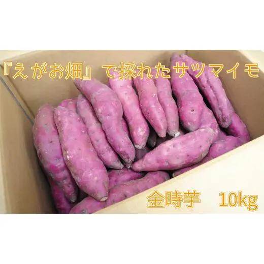 『えがお畑』で採れたサツマイモ金時芋 10kg