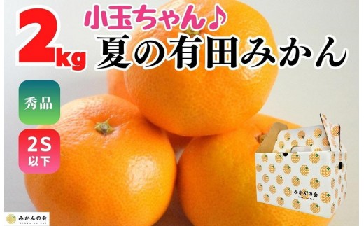 
                  【5月出荷予定】小玉ちゃん ハウスみかん 温室栽培 夏の有田みかん 2kg 秀品 2Sサイズ以下 和歌山県 産地直送 みかんの会
                