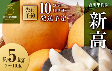 【2026年分先行予約】 梨 新高　約５kg（7～10玉）10月中旬～順次発送【吉川果樹園】 ｜ 梨