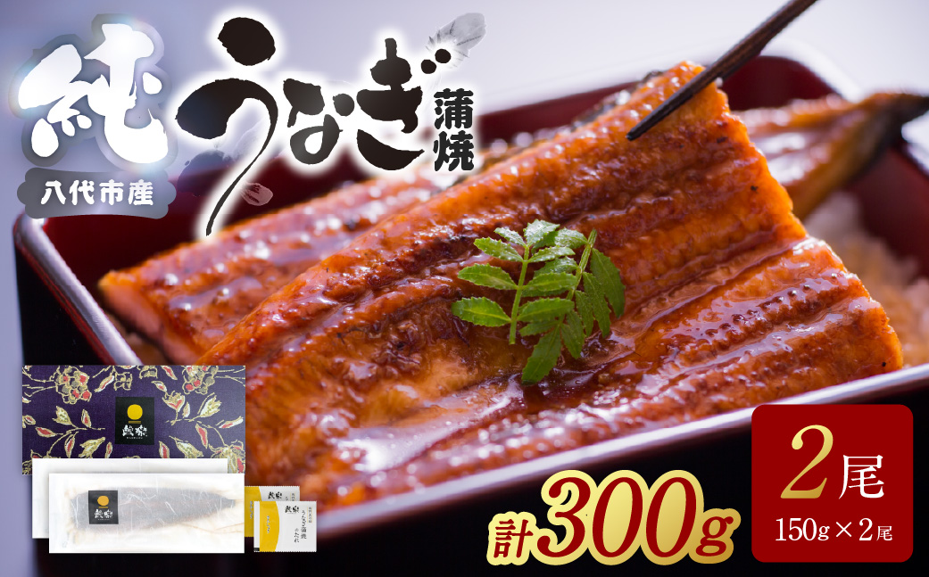 【先行予約】 うなぎ蒲焼2尾セット（150g×2尾）合計300g　たれ・山椒付き  鰻 うなぎ ウナギ 国産 冷凍 うな重 蒲焼 丑の日 鰻楽 熊本県 八代市 【2026年10月中旬より順次発送】