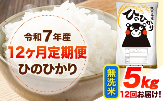 令和7年産【12ヶ月定期便】 無洗米 ひのひかり 5kg 《お申込み翌月から出荷》 熊本県産 無洗米 精米 ひの 送料無料 熊本県 山江村 SDGs 米 コメ こめ 国産