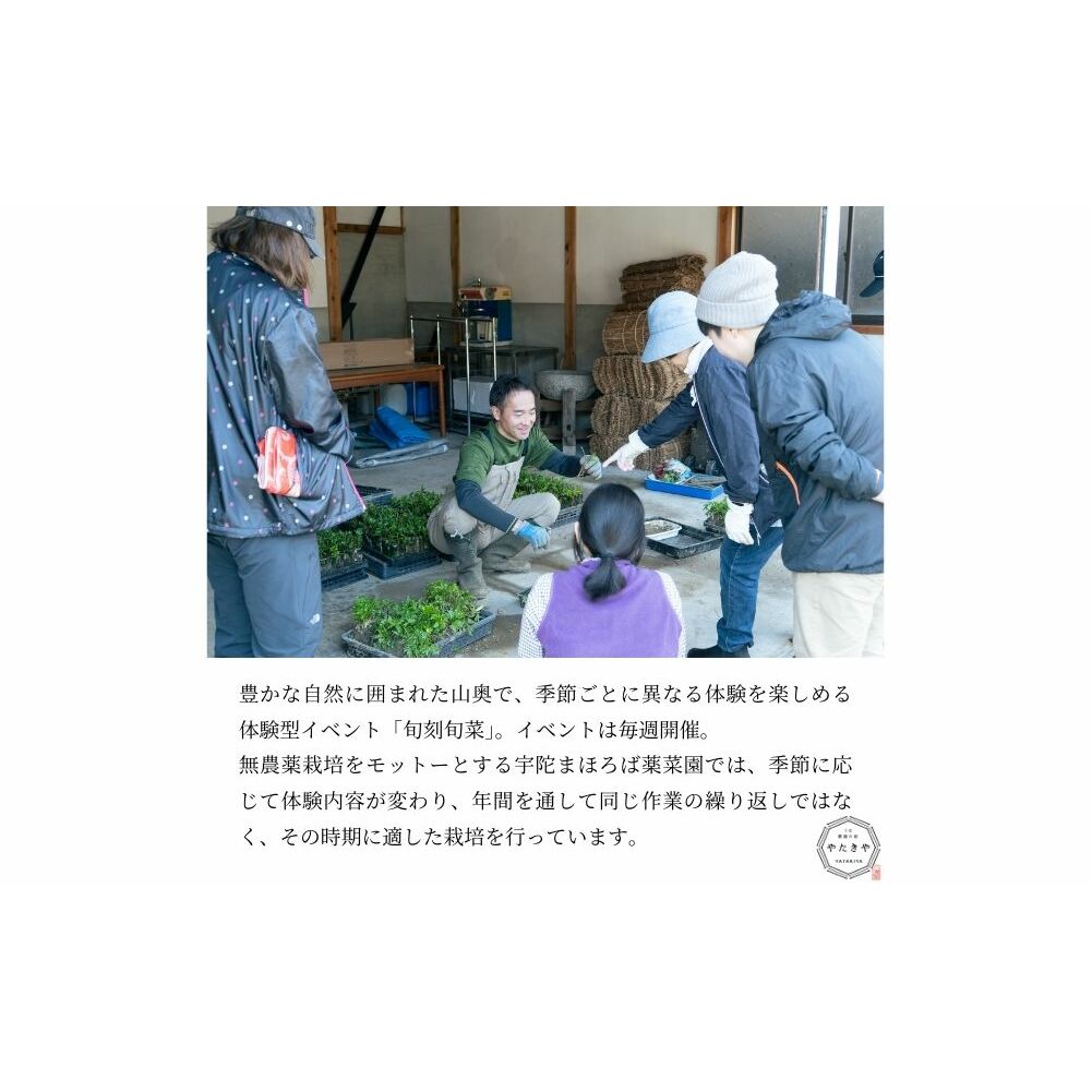 『旬刻旬菜』参加チケット（1名様）家庭菜園のお悩みをプロ農家に相談できるランチ付き農業体験 ／ なつかしいみらいサービス 送料無料 チケット 無農薬栽培 農業体験 家庭菜園 ふるさと納税 奈良県 宇陀