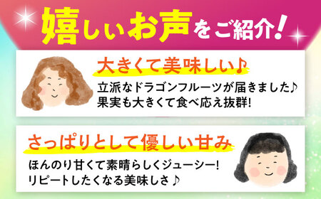 農家直送！南国の果物 ドラゴンフルーツ 2.5kg 火龍果 果物 フルーツ デザート お取り寄せ 沖縄市 / タカエス フルーツ＆ベジタブル[BCBH002]