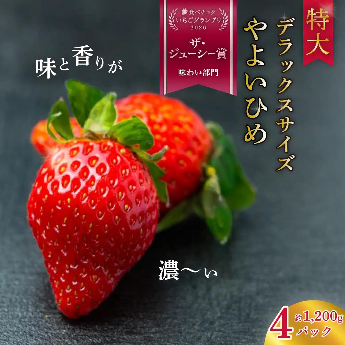 いちご 特大・デラックスサイズ 大粒いちご やよいひめ ４パック
