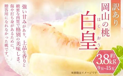 訳あり 白皇 9～15玉 （約3.8kg） 【2026年8月下旬～9月下旬発送予定】 家庭用 糖度 香り 果実 くだもの 果物 フルーツ もも 桃 モモ ピーチ 国産 岡山県産 ブランド 甘み 肉質 新品種