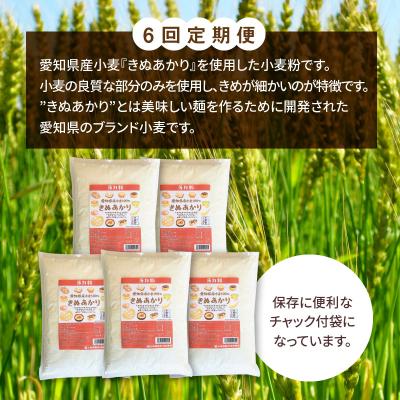 ふるさと納税 碧南市 【小麦粉】愛知県産 きぬあかり 国産 薄力粉 1kg×5袋(計5kg) 定期便6回　H008-260 |  | 01