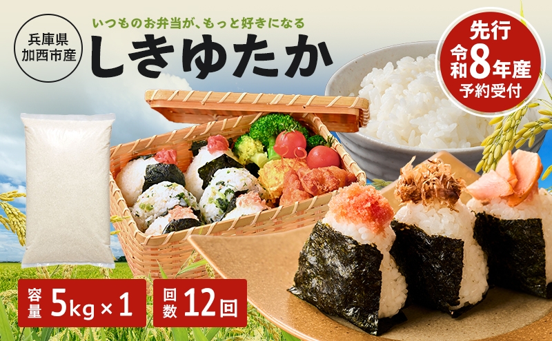 
                  定期便 米 令和8年産 先行受付 しきゆたか 白米 5kg 12か月連続お届け お米 精米 単一原料米 お弁当 おにぎり 冷めても美味しい 農業支援 就労者支援 日用品
                