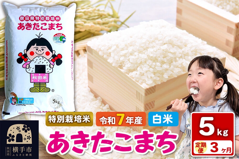 
                  令和7年産【白米】《定期便3ヶ月》特別栽培米 あきたこまち 5kg 秋田県 横手市 [秋田県産 あきたこまち 秋田こまち]
                