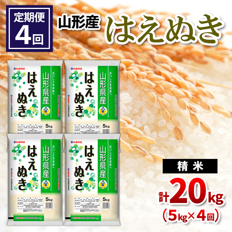 【定期便4回】山形県産 はえぬき 精米 5kg×4回(計20kg) FY24-536