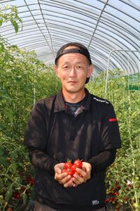 ミニトマト1kg とも農園 とまと トマト フルーツトマト ミニトマト トマトジュース 野菜 やさい 人気 新鮮 産地直送 甘い 高糖度 完熟 食べやすい リコピン ビタミン ダイエット 美容 美肌 