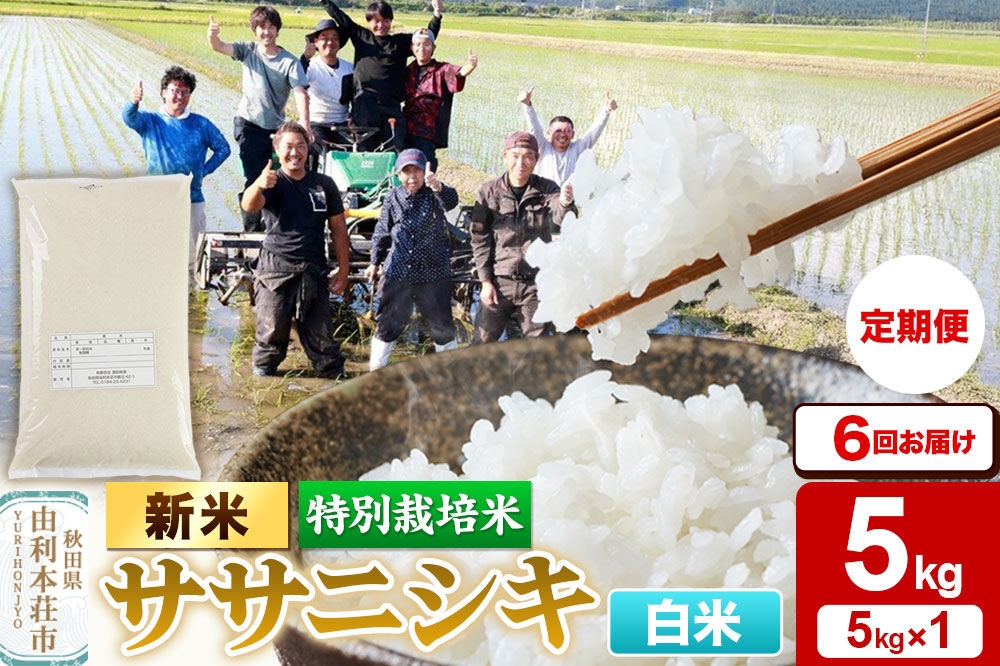 《令和8年産 新米》《定期便6ヶ月》【白米】特別栽培米 ササニシキ 5kg 秋田県産 [ササニシキ 新米 米 お米 こめ 白米 精米 ブランド米 食卓 おにぎり 秋田県産 秋田]