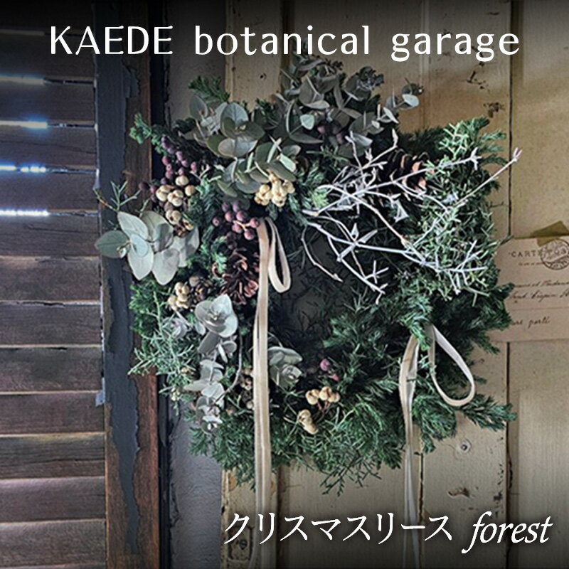 【ふるさと納税】クリスマスリース（forest）リース クリスマス 直径約30cm インテリア ドライフラワー 雑貨 プレゼント ギフト 贈り物 お部屋 玄関飾り 日進市 愛知県　お届け：2026年11月中旬から12月中旬まで