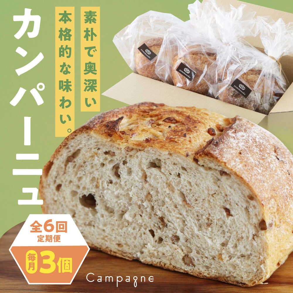 【ふるさと納税】カンパーニュ 【全6回定期便】【冷凍】3種セット (プレーン・いちじく・五穀) おすすめ 人気 定期便 パン 詰め合わせ 食べ比べ 天然酵母 ベーカリー ハードパン 愛媛県大洲市/株式会社アライ 冷凍パン ハードパン 食事パン 朝食 ベーカリー 冷凍[AGAY052]