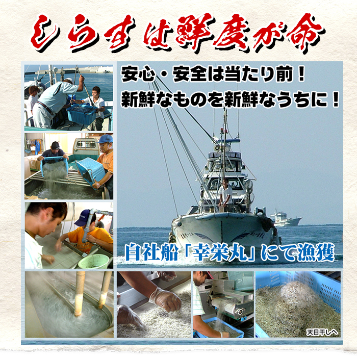 鹿児島県産「網元の天日干しちりめん(計400g・50g×8袋)」 直送 新鮮 鮮度 国産 しらす シラス じゃこ直送 魚 魚介類 さかな 小魚 カルシウム【大久保水産】【00-007-01】