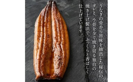 天の鰻2尾セット FN-Limited-WE