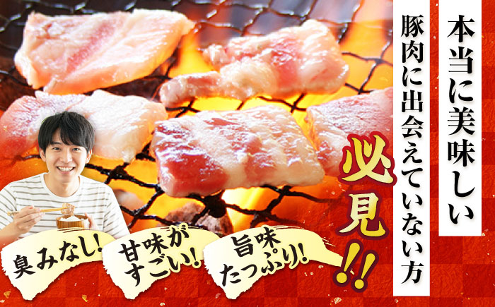 五島美豚 焼肉2kg (ロース1kg/バラ1kg) 五島市/ごとう農業協同組合 [PAF053]