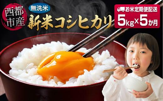 8月発送開始【5ヶ月定期便】 新米コシヒカリ無洗米 5kg×5 合計25kg 令和8年産 8月～12月発送 宮崎県西都市産＜18-24ｂ＞こしひかり 精米 白米 お米