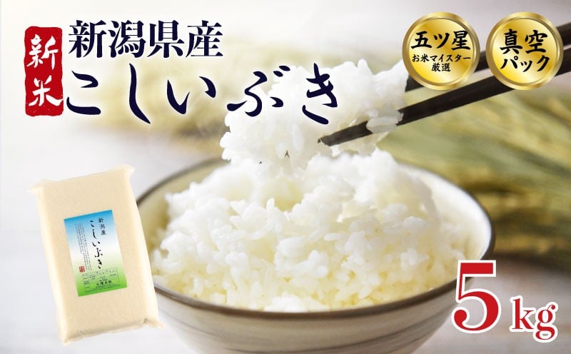 
            【新米】 こしいぶき 5kg 令和7年産 選べる 配送月 五つ星お米マイスター 真空パック 米 新米 新発田産 備蓄 非常 防災 長期保存 アウトドア ごはん ご飯 お米 こめ 新潟県 新発田市 新潟県産 三糧 sanryo013P
          