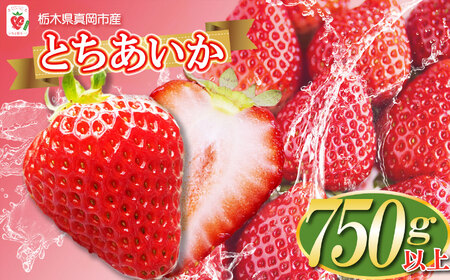 【先行予約】鮮度抜群！朝採れ旬のとちあいか  約750g以上 真岡市 栃木県 送料無料