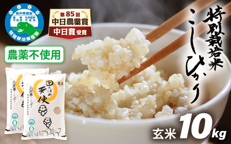 
                  【令和7年産】農薬不使用 特別栽培米コシヒカリ10kg（5kg×2）【玄米】福井県認証区分1取得「田んぼの天使」越前町【10キロ お米 コメ 農薬化学肥料不使用 送料無料】 [e10-d004]
                