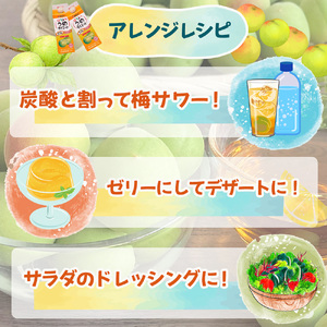はちみつうめダイエット濃縮タイプ 500ml×12本 タマノイ酢 さっぱり梅風味 はちみつ入り 飲用アレンジや料理にも 日本製 お酢 | 梅酢ドリンク 濃縮 はちみつ梅ドリンク 梅ジュース 濃縮タイプ