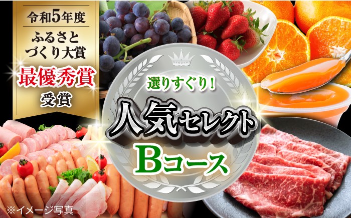 
                  定期便【12回】選りすぐり！人気セレクト Bコース 定期便 / 便利な定期便 バラエティ定期便 野菜定期便 肉定期便  / 大村市 / おおむら夢ファームシュシュ[ACAA123]
                