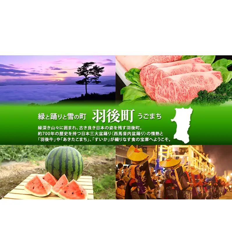 100日熟成の極上のお供！伝統いぶりがっこ「金の蔵」豪華5種詰め合わせA［須藤健太郎商店］【 漬物 漬け物 いぶりがっこ 燻製 大根 だいこん スモークチーズ ふりかけ ご飯のお供 おつまみ 家飲み 
