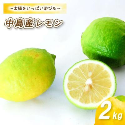 ふるさと納税 松山市 【10月から順次発送】 レモン 2kg (14〜18玉)