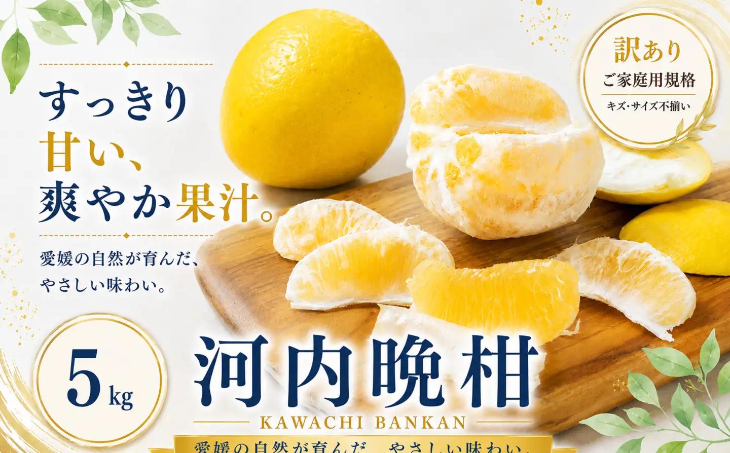＜訳あり 愛媛県産河内晩柑 合計約5kg＞『2027年3月下旬～7月上旬迄に順次出荷予定』 かわちばんかん ジューシー 甘い あまい 果汁 果物 くだもの フルーツ みかん オレンジ 柑橘 人気柑橘 特産品 株式会社OSN 愛媛県 西予市 【常温】OOS0050