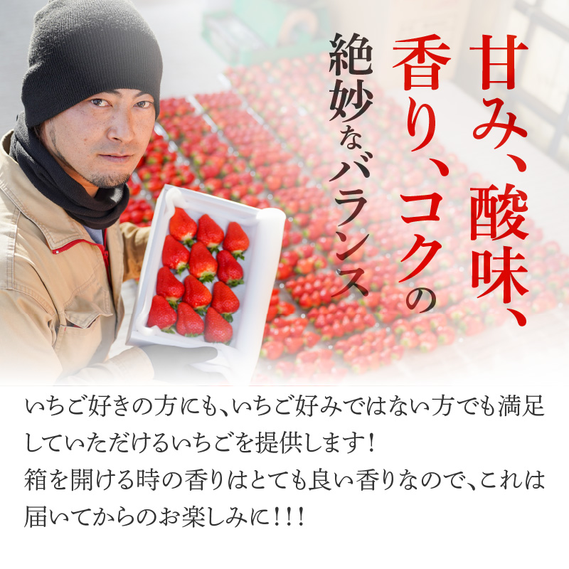 （予約受付中）【12月から順次発送】まるで赤いサファイア!!丹精込めた完熟いちご!! 約900g　H130-010