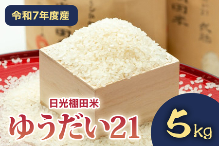 [令和7年度産] 日光棚田米「ゆうだい21」5kg｜令和7年度米 数量限定 お米 白米 精米 国産 日光産 産地直送 日光市 八木澤ファーム [0759]