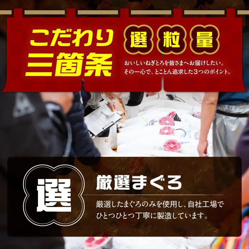 ＜三崎まぐろ ネギトロ 1kg＞便利な小分け 10食分 M070-011 ねぎとろ マグロ まぐろ
