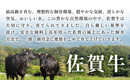 艶さし！【A4～A5】佐賀牛しゃぶしゃぶすき焼き用（肩ロース肉・肩バラ・モモ肉）400ｇ