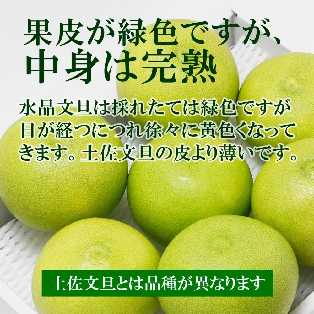 【先行予約】【訳あり】水晶文旦 ご家庭用お得箱（Mサイズ?4Lサイズ） 約6kg（12?16個入り） 高知県土佐市 【株式会社SHIRAKI】 [BQAI022]